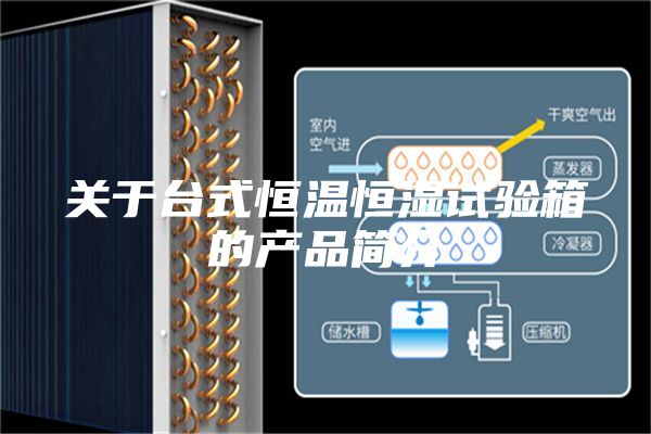 關(guān)于臺(tái)式恒溫恒濕試驗(yàn)箱的產(chǎn)品簡介