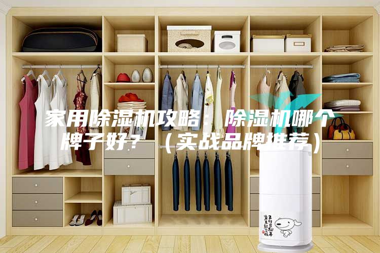 家用除濕機攻略：除濕機哪個牌子好？（實戰品牌推薦）