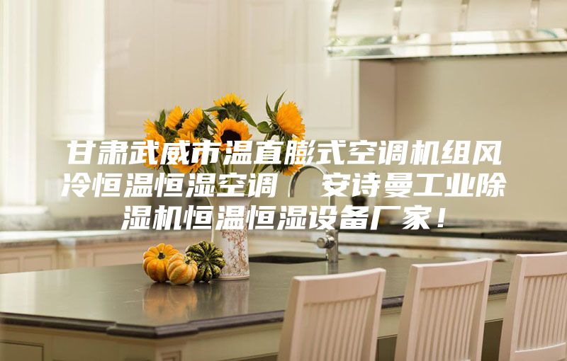 甘肅武威市溫直膨式空調(diào)機組風(fēng)冷恒溫恒濕空調(diào)  安詩曼工業(yè)除濕機恒溫恒濕設(shè)備廠家！