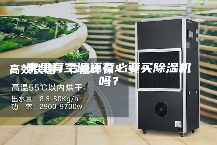 家里有空調還有必要買除濕機嗎？