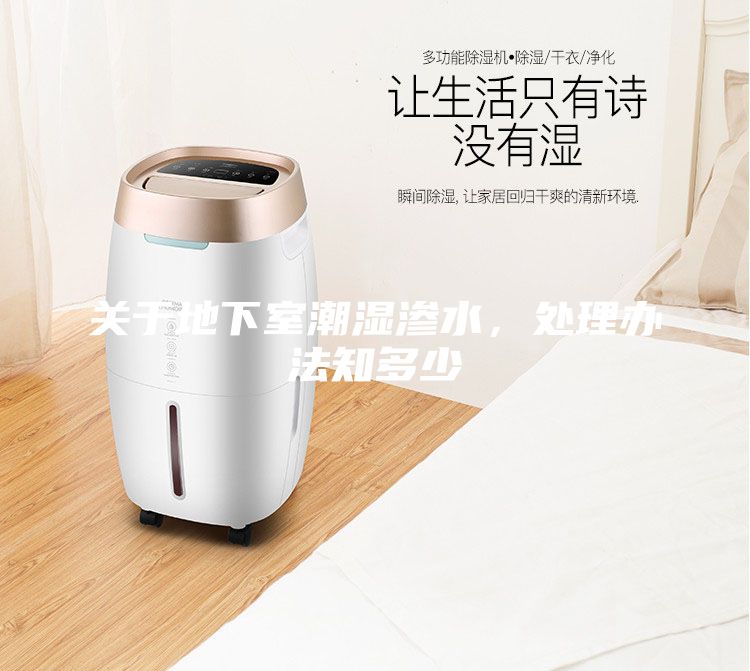 關于地下室潮濕滲水，處理辦法知多少