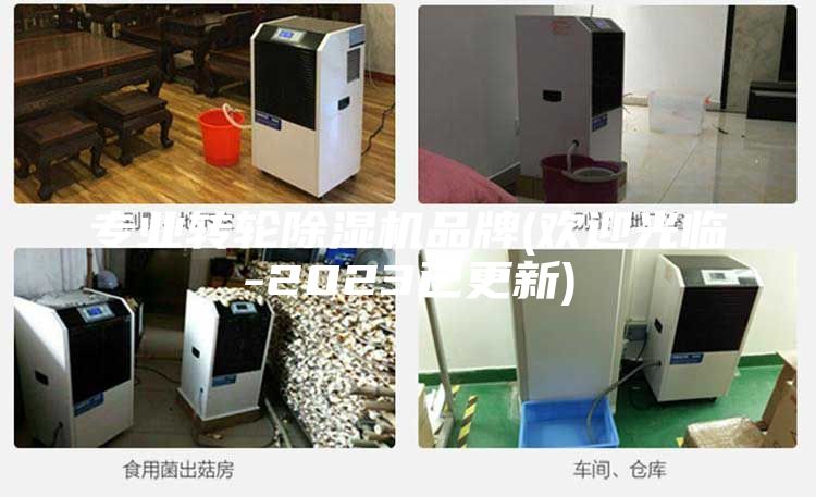 專業轉輪除濕機品牌(歡迎光臨-2023已更新)