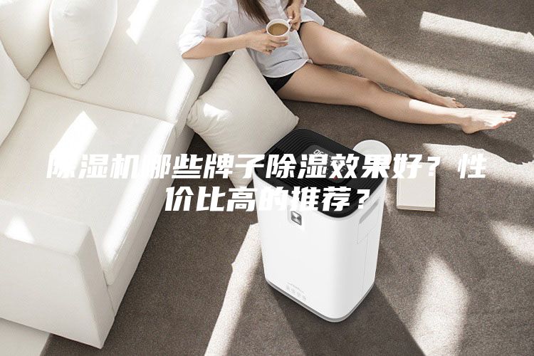 除濕機(jī)哪些牌子除濕效果好？性價(jià)比高的推薦？
