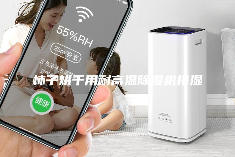 柿子烘干用耐高溫除濕機排濕