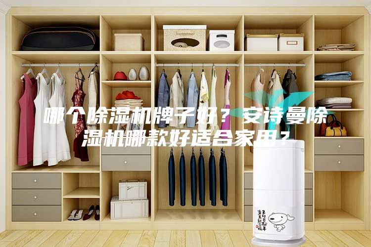 哪個除濕機牌子好？安詩曼除濕機哪款好適合家用？