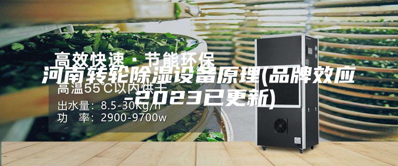 河南轉(zhuǎn)輪除濕設(shè)備原理(品牌效應(yīng)-2023已更新)
