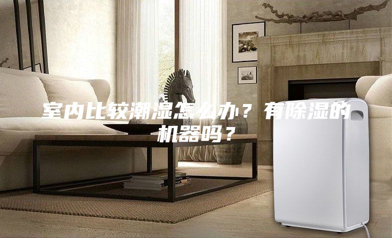 室內比較潮濕怎么辦？有除濕的機器嗎？