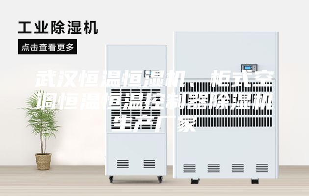 武漢恒溫恒濕機(jī)、柜式空調(diào)恒溫恒溫控制器除濕機(jī)生產(chǎn)廠家