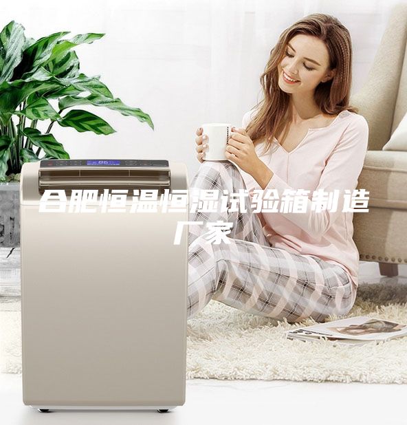 合肥恒溫恒濕試驗箱制造廠家