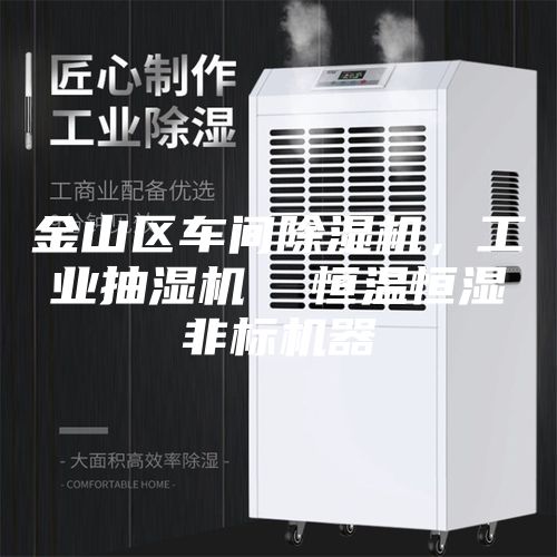 金山區(qū)車間除濕機，工業(yè)抽濕機  恒溫恒濕非標(biāo)機器