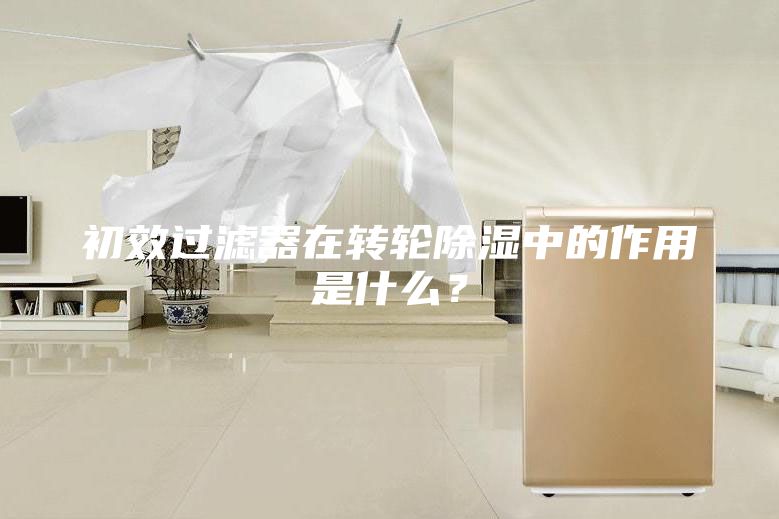 初效過濾器在轉輪除濕中的作用是什么？
